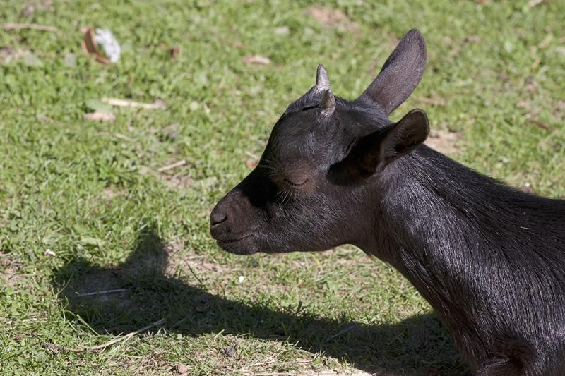 Cjp_2011_08_01_145035 (1).jpg